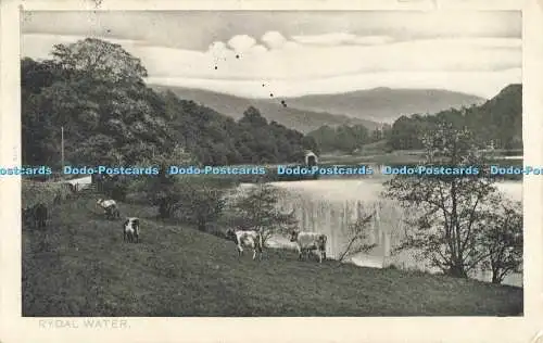 R558262 Rydal Water Platino Foto Postkarte Bild Briefpapier Pfau Marke 19