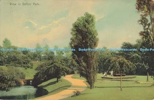 R559889 Ansicht in Sefton Park Harrop Kabel Serie 6482 1905