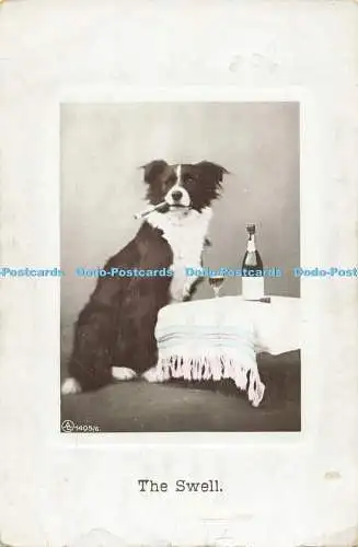 R560235 Dog Swell A L 1405 6 Aristophot RP 1909