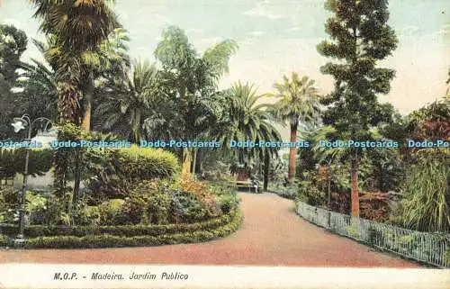 R560897 Madeira Jardim Publico M O P