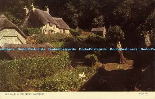 R562135 Dartmoor Buckland im Moor Jarrold RP