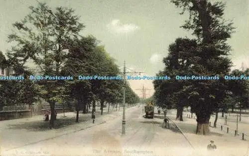 R562291 Southampton The Avenue F G O Stuart 1905