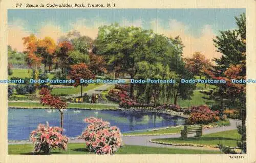 R561149 N J Trenton Szene in Cadwalader Park H Boyer Jr C T Art Farbton