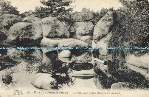 R561262 Foret de Fontainebleau La Mare aux Biches Gorges d Apremont