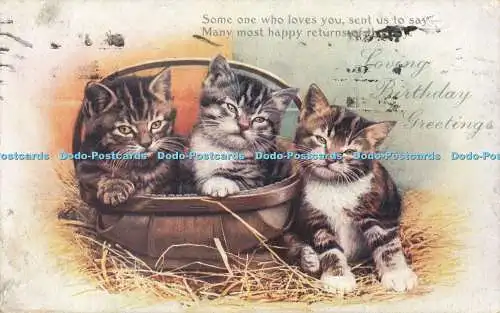 R561453 Liebevolle Geburtstagsgrüße Drei Kätzchen im Korb Stecken Oilette Postwagen