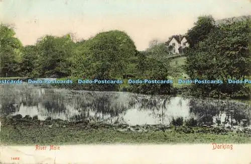 R561968 Dorking River Mole Stengel 1905