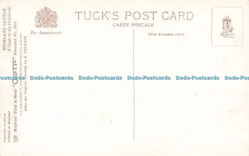 R563430 Highland Cattle Spate in Highlands Tuck Oilette No 3518 A Sherrin