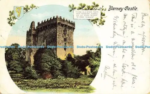 R563884 Blarney Castle Station und Bene Fida und Carinis