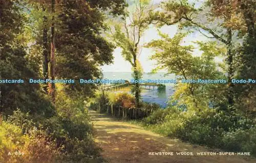 R563909 Weston Super Mare Kewstoke Woods Valentine Art Farbe Brian Gerald