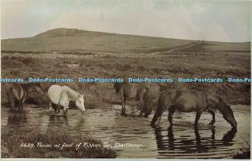 R563976 Dartmoor Ponys am Fuße des Rippon Tor E A Sweetman Sunshine Serie RP 19