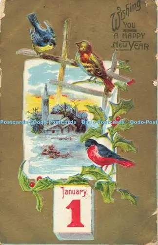 R564167 Wishing You a Happy New Year Birds