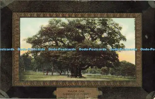 R564181 Sherwood Forest Major Oak The Art Publishing