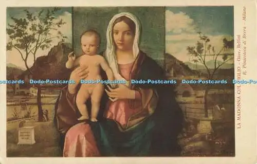 R564302 La Madonna Col Figlio Giov Bellini R Pinacoteca di Brera Eliocromia Zacc