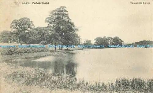 R564433 Petersfield The Lake Valentine Serie 1903