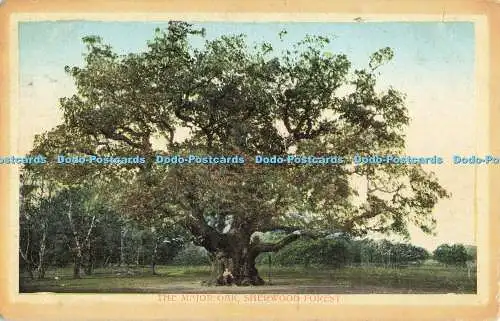 R564476 Sherwood Forest The Major Oak Valentine Series 1916