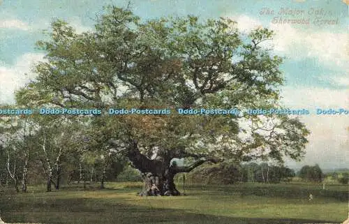 R564479 Sherwood Forest The Major Oak Valentine Series