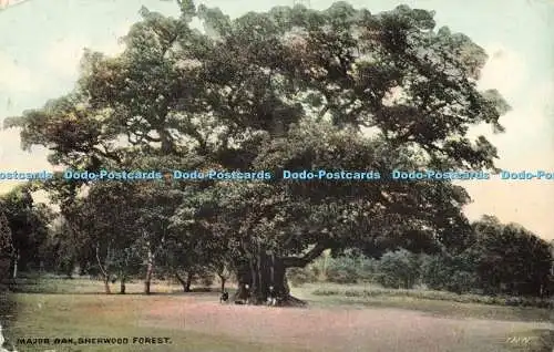 R564494 Sherwood Forest Major Oak Art Series 1910