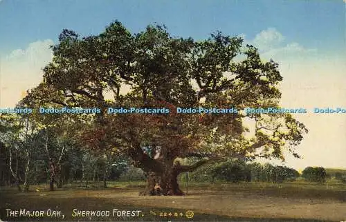 R564495 Sherwood Forest Major Oak Valentine Series