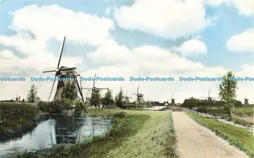 R566202 Dutch Windmill Kinderdijk Rotterdam