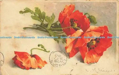 R566290 Blumen Nr 284 1925 Grußkarte