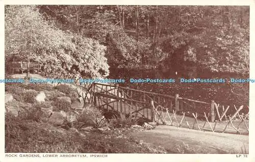 R564982 Rock Gardens Lower Arboretum Ipswich LP 72 Lansdowne Production