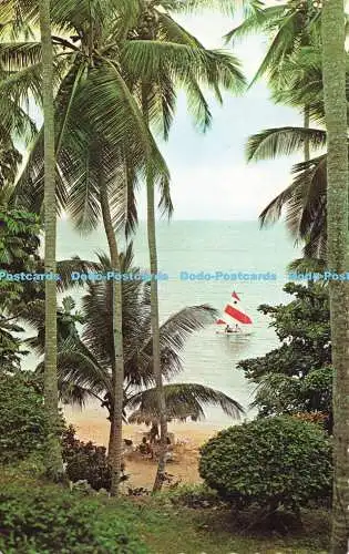 R565125 Plantation Inn Hotel Beach Ocho Rios Jamaica W I Novelty Trading Dexter