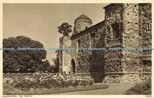 R566844 Colchester Castle V2303 Photochrom