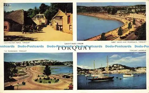 R568765 Grüße vom Torquay Großhandel Schreibwaren J Woolverton 1959 Mehrfachansicht