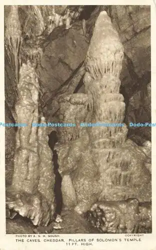 R565680 A G H Gough Caves Cheddar Pillars of Salomons Temple