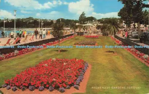 R567348 Promenade Gardens Torquay Salmon