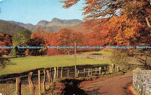 R569214 Langdale Pikes from Loughrigg English Lakes Salmon 1968 3958c