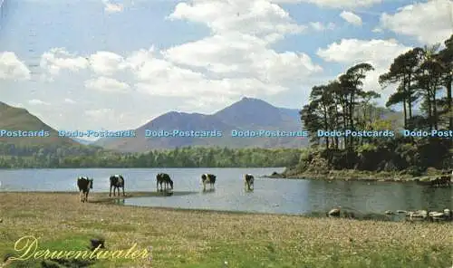 R570931 Derwentwater Old Lakeland Dialekt Souvenir Postkarte Keswick nach Borrowdal