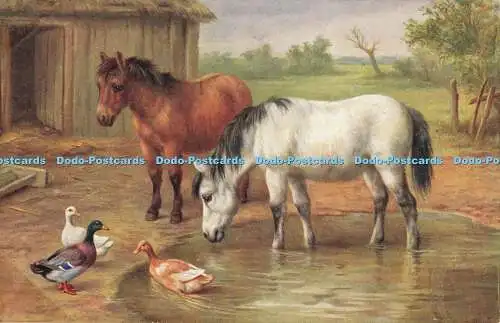 R565977 Ponys und Enten Gemälde Lachs 1964