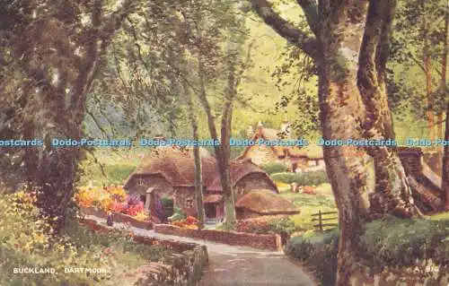 R567562 Buckland Dartmoor A 916 Kunstfarbe Brian Gerald Valentines