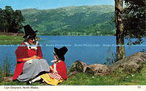 R571069 Llyn Gwynant North Wales 70 Color Gloss View Series Bamforth 1972 John T