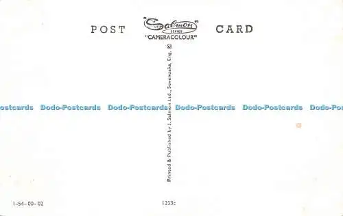 R573185 Isle of Purbeck Salmon Multi View
