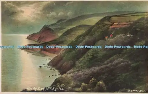 R568003 Woody Bay Nr Lynton Andrew Beer