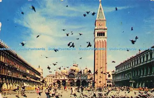 R568048 Venezia Piazza S Marco Piccionata Venetia St Marcus Square Pigeons F Vit