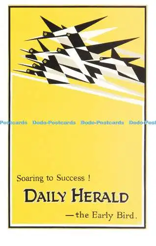 R570055 Soaring to Success Daily Herald Early Bird Dalkeith Poster Karte P271 E M