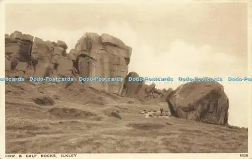 R568208 Cow and Calf Rocks Ilkley 8528 Salmon Gravure Style