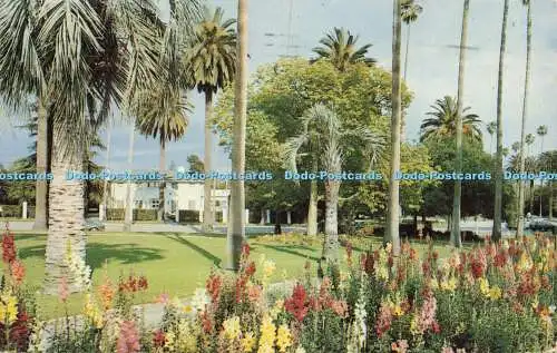 R571874 Beverly Hills California Mitock Publishers