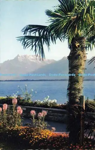 R570353 Montreux Chillon 852 Le Quai et les Dents du Midi Jaeger Iris Mexichrome