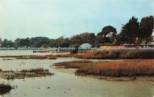 R571909 Mudeford Colourmaster International Precision 1981