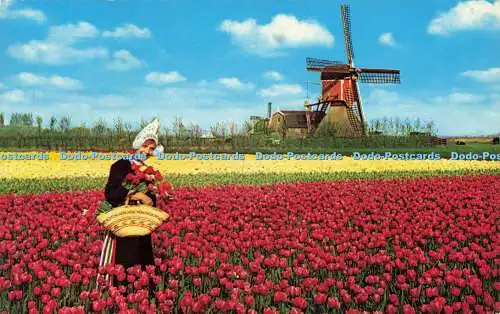 R573928 Holland Land der Blumen und Windmühlen Krüger 1965