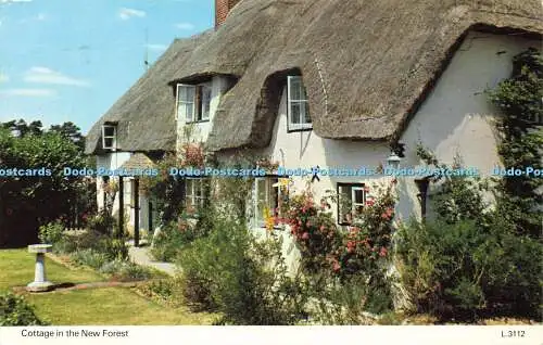 R570649 Cottage in New Forest L 3112 Dennis 1981