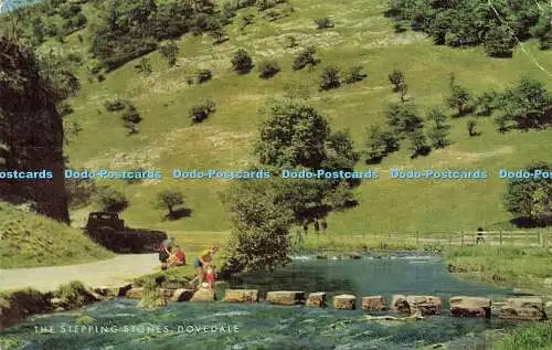 R572201 Trittsteine Dovedale Lachs 1977