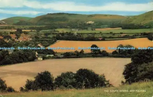 R574172 South Downs and Fulking Salmon