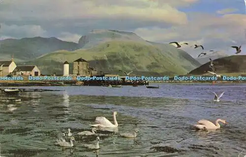 R574250 Loch Linnhe und Ben Nevis höchster Berg der britischen Inseln von Corpach