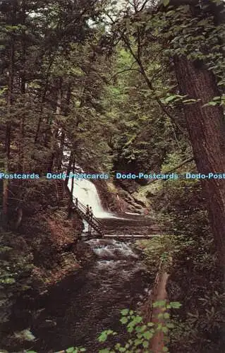 R574617 Bushkill Falls Niagara of Pennsylvania Pocono Mountains Albert W Koster