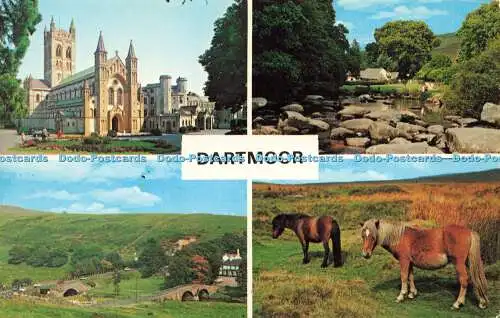 R572829 Dartmoor Devon N P O Belfast Dexter 1976 Litho Kanada Multi View